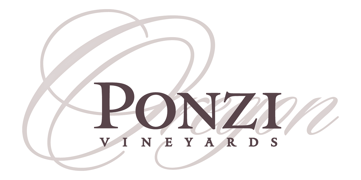 Ponzi Vineyards